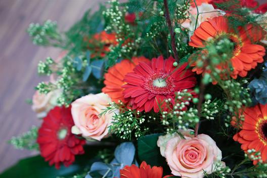 Wir sehen einen Blumenstrauß mit Blüten in verschiedenen Rot-, Orange und Rosé-Tönen.