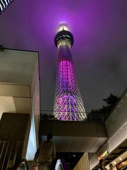 Der Tokyo Skytree ist ein 634 Meter hoher Fernseh- und Rundfunksendeturm in der japanischen Hauptstadt Tokio. Er ist der höchste Fernsehturm und nach dem Burj Khalifa in Dubai und dem Merdeka 118 in Kuala Lumpur das dritthöchste Bauwerk der Erde.